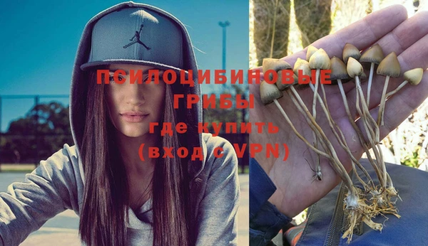 метамфетамин Пестово
