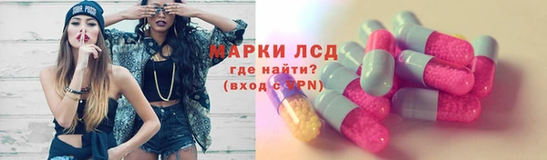 ГАЛЛЮЦИНОГЕННЫЕ ГРИБЫ Болохово