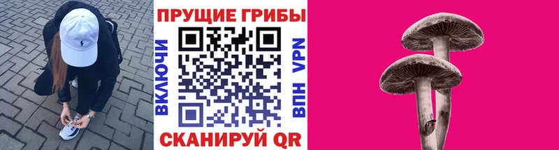 Галлюциногенные грибы GOLDEN TEACHER  Зеленодольск 